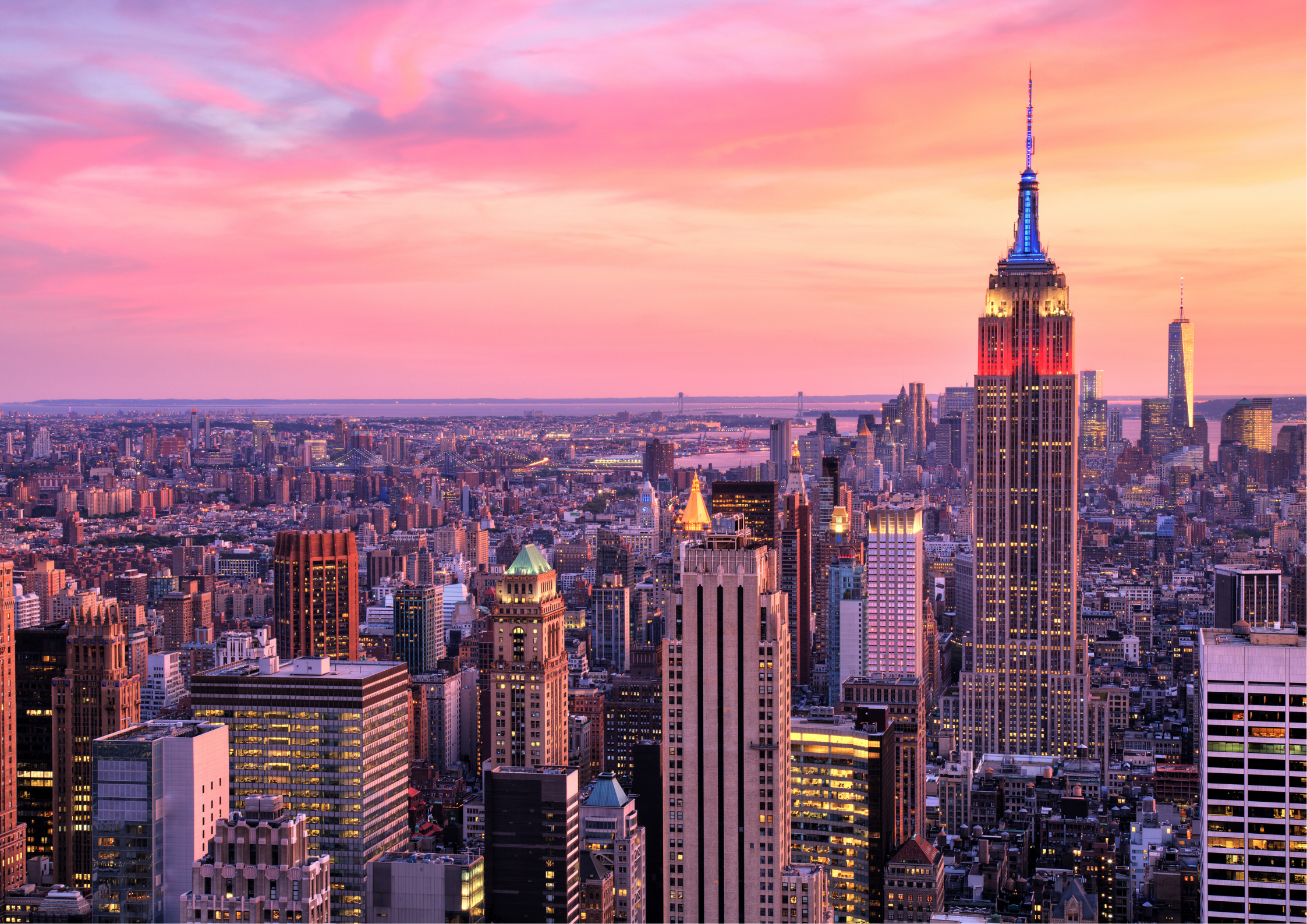 Africa Pops – NYC Edition